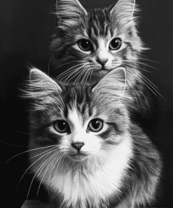 Monochrome Fluffy Kittens Diamond Painting