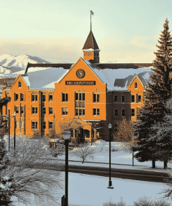 Montana State University Campus Diamond Painting