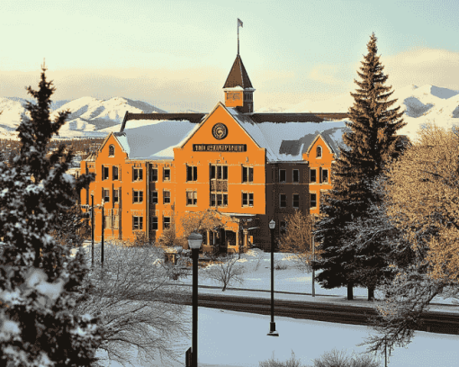 Montana State University Campus Diamond Painting