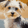 Morkie Puppy Diamond Painting