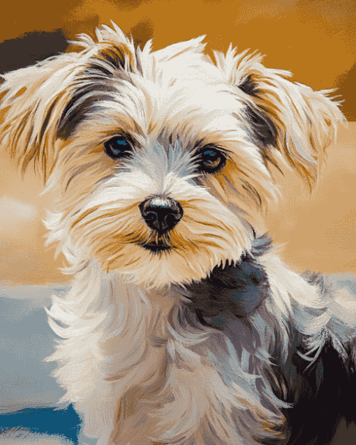 Morkie Puppy Diamond Painting