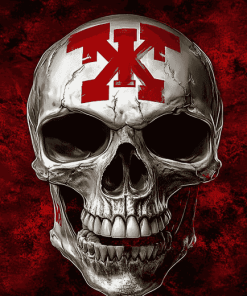 Nebraska Huskers Blackshirts Skull Diamond Painting