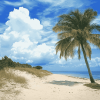 Palmetto Bay Seaside Diamond Painting