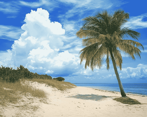Palmetto Bay Seaside Diamond Painting