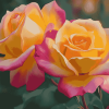 Peace Roses Blossom Diamond Painting