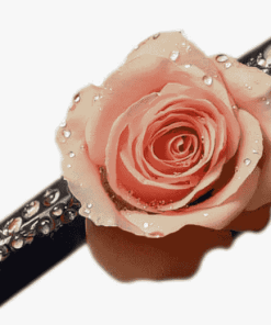 Peach Rose Blossom Diamond Painting