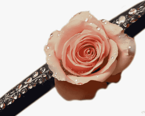 Peach Rose Blossom Diamond Painting