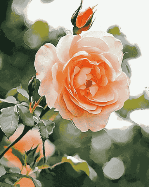 Peach Rose Blossoms Diamond Painting