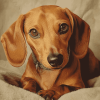 Red Dachshund Puppy Diamond Painting