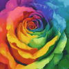 Rise of Rainbow Rose Diamond Painting