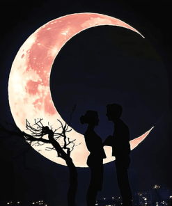 Romantic Couple Moon Diamond Painting