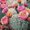 Roses Blossoms Cactus Diamond Painting