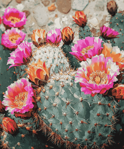 Roses Blossoms Cactus Diamond Painting