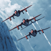 Snowbirds Military Display Diamond Painting