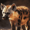 Spotted Hyena Animal Diamond Painting