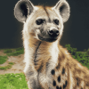 Spotted Hyena Wildlife Diamond Painting