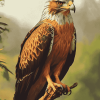 Spotted Indian Eagle Diamond Painting