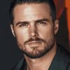 Stephen Amell Celebrity Diamond Painting