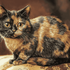 Tortoiseshell Cat Diamond Painting