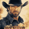 Walker Texas Ranger Movie Diamond Painting