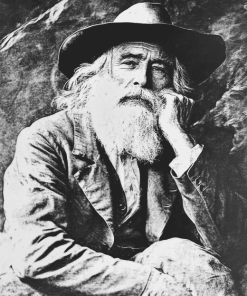 Walt Whitman Black White Diamond Painting