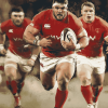 Welsh Rugby Stars Diamond Painting