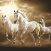 White Horses Elegance Diamond Painting