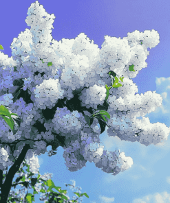 White Lilac Blossom Diamond Painting