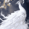 White Peacock Fantasy Diamond Painting