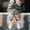 Wild Cats Reflection Diamond Painting