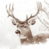 Winter Deer in Snow Diamond Painting