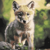 Wolf Cubs Wildlife Diamond Painting