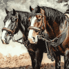 Workhorse Animal Diamond Painting