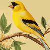 Yellow Finch Bird Diamond Painting