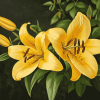 Yellow Lily Rose Flowers Diamond Painting